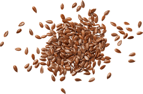 Bruine Lijnzaad in bulk BIO